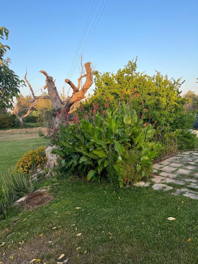 Li Papi Villa Галатоне Екстериор снимка